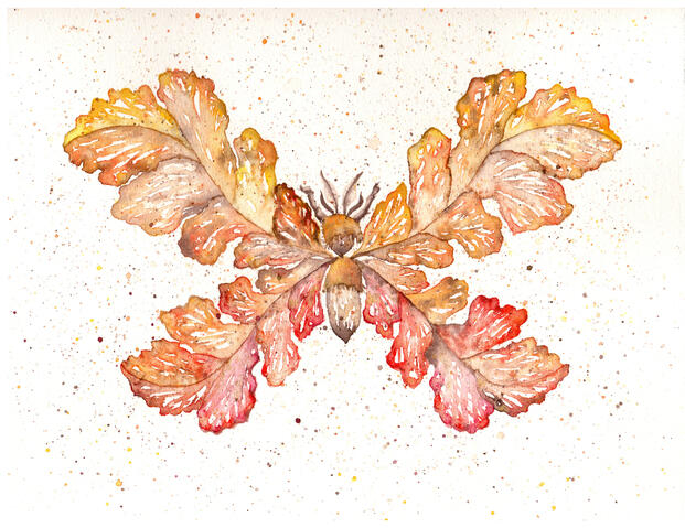 Fantastic Fall Foliage