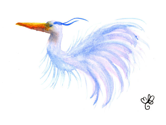Louisiana Bird of Paradise
