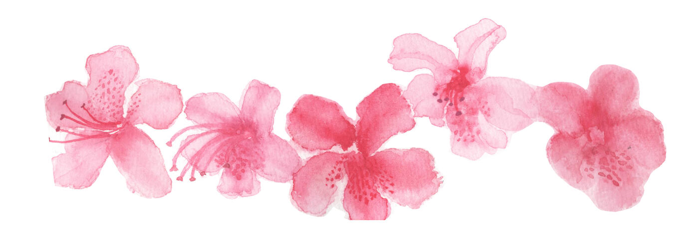 Azaleas