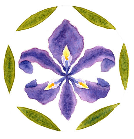 Fleur de Lis Iris